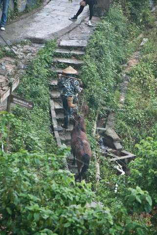 La Terrazas de Arroz de Longji en palanquín. - China milenaria (12)